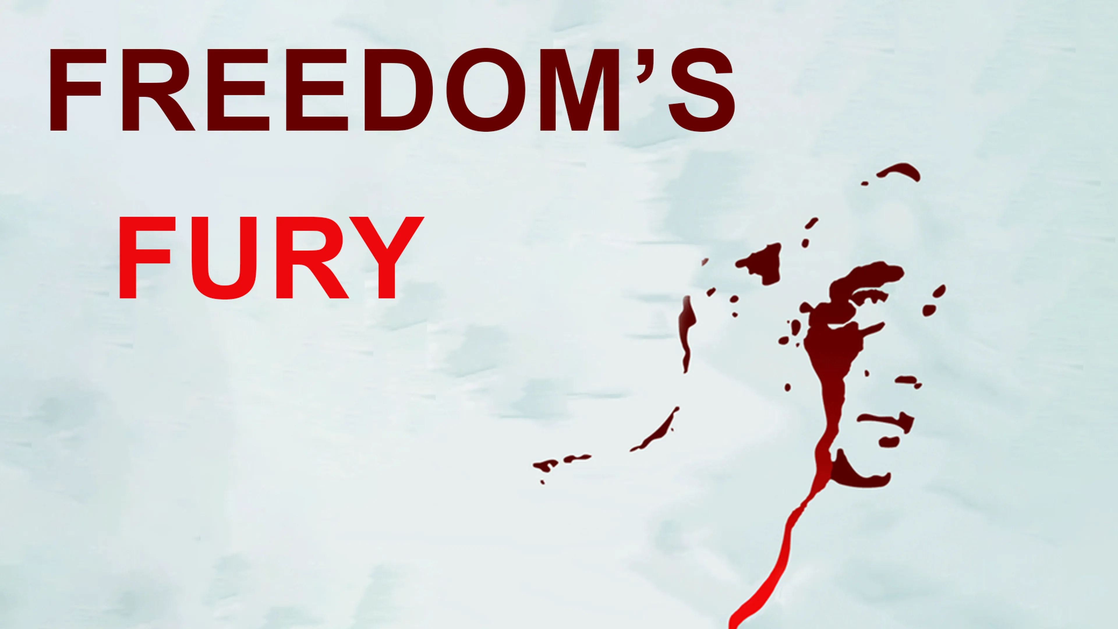 Freedom's Fury poster